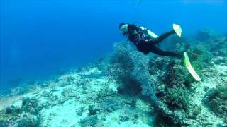 CASTLE ROCK DIVE SITE - KOMODO ISLAND