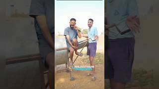 सस्ते बदमाश 😂।। #shorts #short #shortvideo #comedy #funny #viralvideo #rajasthanicomedy