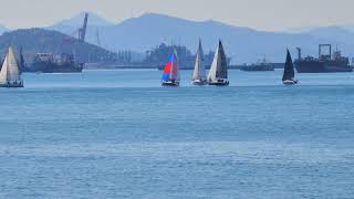 #sailboat #jinhae #port #koreatourism #indianinkorea #nature #ocean #sailing