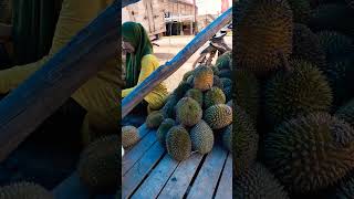 durian viral hehe pasar sungai lilin #shorts #shortvideo #kapallaut