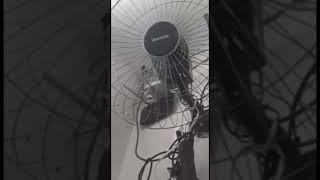 Ventilador de parede Ventisol #fan #shortvideo