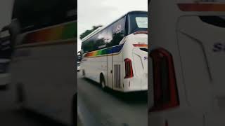 Sore saat hujan turun #bismaniacommunity #videoshort