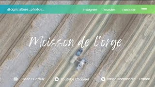 Moisson de l'orge 🌾 corvée difficile : orge versée / panne / rendement - infos en description