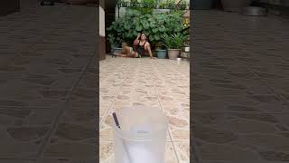 #forfunonly #pampagoodvibes #shortvideo