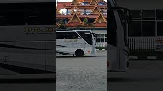 Bus Duta Pasaman Expres #ayonaikbus #dutapasamanexpres #shorts