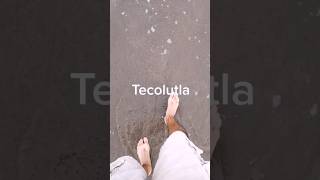 #shorts #tecolutla #veracruz