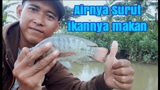 Mancing dadakan gak nyangka awalnya ragu malah dapat babon 🐟🐟