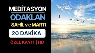 MEDİTASYON I MARTI SESİ I HUZUR VEREN SAHİL SESİ I TERAPİ I