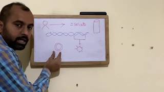 #HepatitisB accine Generation by Recombinant DNA Technology#Vaccine Technology# Vaccine Technology