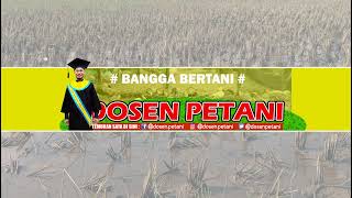 Dosen Petani Live Stream