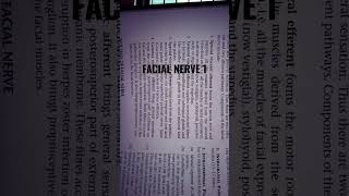 facial nerve