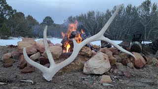 SHED HUNTING 2021! First Brown and Giant 5 Point Elk Shed!