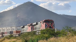 Así Saluda El Maquinista A Su Paso Con El Tren 👋 / Tren Intermodal De Ferromex En Tlajomulco