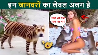 🤣 ये जानवर तो बड़े चालबाज़ है 😜 Animals' Most Hilarious Moments: From Tears to Cheers