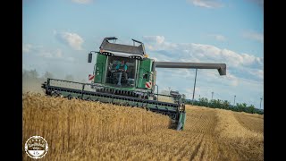 Dreschen 2020 // 2x Fendt 6335c // Fendt Vario 1046