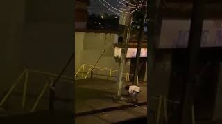 habitante de calle es visto llevandose cableado en el barrio independencia #buenaventura #colombia