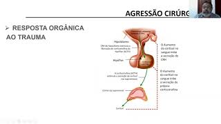 Agressão Cirúrgica