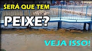 Lago artificial - Será que tem peixe nesse lago artificial? Veja isso!