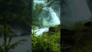 Waterfall in forest #shorts #youtubeshorts #viral #viralvideo #youtube