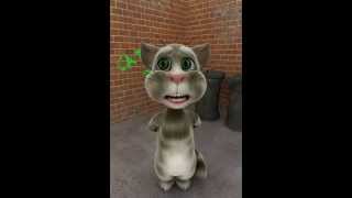 BatanGemi.com: Talking Tom Cat Konuşan Kedi