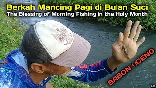 Berkah Mancing Pagi di Bulan Suci / The Blessing of Morning Fishing in the Holy Month