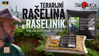 Terarijní rašelina a rašeliník - jedinečné terarijní substráty