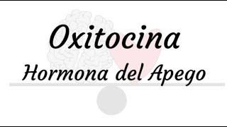 Oxitocina - Temporada de amor - Hormona del apego y del amor