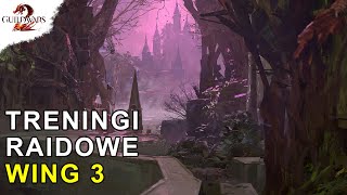 Treningi Raidowe - Wing 3 | Guild Wars 2