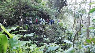 GUATEMALAN BIRD WATCHING TOUR