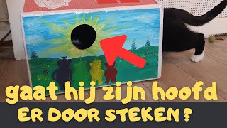 Gaat hij zijn hoofd er door steken?  DIY zaterdag #16 Zoo-cember