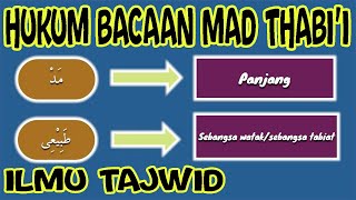 Hukum Bacaan Mad Thabi'i (Mad Asli) dan Contohnya