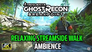 🌊"Ghost Recon Breakpoint: Relaxing Streamside Walk Ambience"🌊