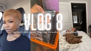 VLOG 8: new hair color AGAIN, starting the website & babysitting [VLOGMAS DAY 5] | Risha Tonae'