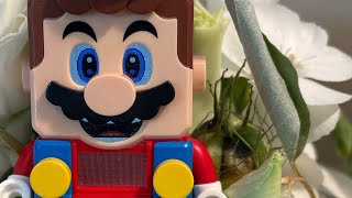 Lego Super Mario Interactive Live Stream!