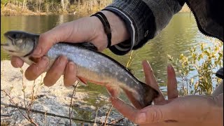 Maine fishing for brook trout