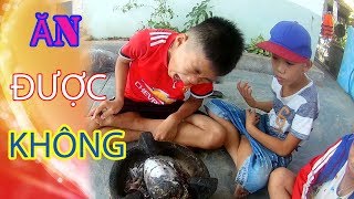 🍗 MÓN ĂN LẠ gây sóng gió ở việt nam |strange food