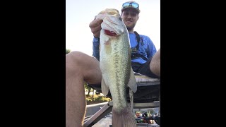 FISHING JIGS IN TIMBER FOR SUMMERTIME BASS