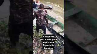 A LUTA DOS PESCADORES PARA CAPTURAR O PIRARUCU, O GIGANTE DA AMAZÔNIA. #oquartopoder