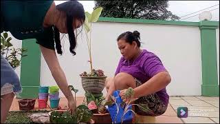 TKW Malaysia berkebun tanam bunga