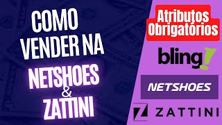 Se você quer vender na Zattini, precisa ASSISTIR esse vídeo - Como vender na Netshoes e Zattini #04