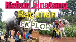 #ragunanzoo KEBUN BINATANG RAGUNAN WISATA MENGENAL SATWA DI INDONESIA