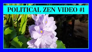 Take a Minute to Relax! (Political Zen Part 1)