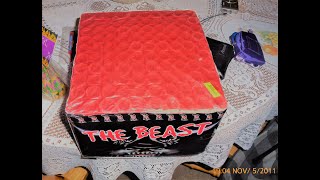 The Beast 100 shot Firework demo