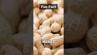 Fun Fact: 💥🥜 Thats Nuts! #shorts #facts #viral #funny #peanut