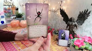 ♒️ Waterman Liefde 🪽 AE Michaël 🩷 Het Diamanten Hart 🩷 Tarot Reading 2024