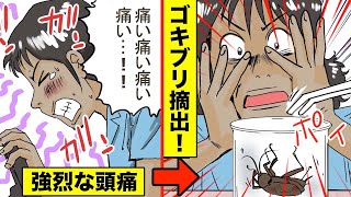 【実話】体内にゴキブリが侵入...壮絶体験をした女性を漫画にした。