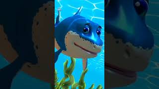 Акуляче дитинча #shorts #songsforkids #nurseryrhymes #babyshark #doodoobeekidssong