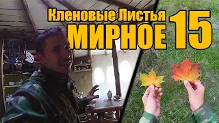 Мирное 15 - Кленовые Листья