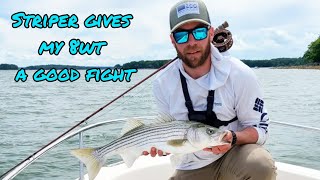 Maine Striped Bass on the Fly