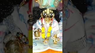 हाथी घोड़ा पालकी जय कन्हैया लाल की। || #shorts #laddugopal #radhakrishna